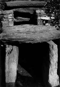The Roof-Box